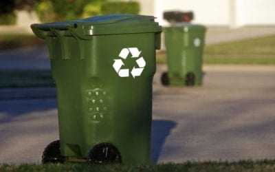 The Day I Backed Into My Trash Can
